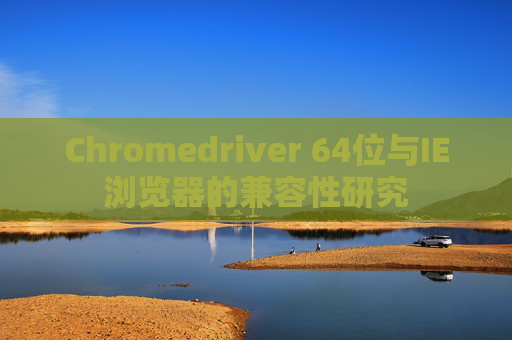 Chromedriver 64位与IE浏览器的兼容性研究 Chromedriver 64位与IE浏览器的兼容性研究